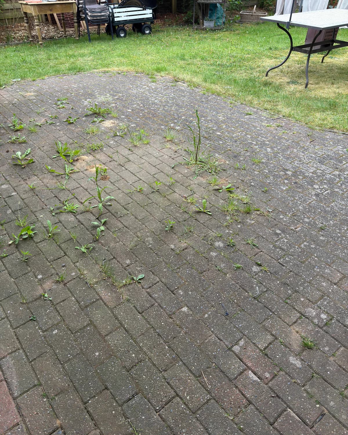 Terrasse in Ladelund vor der Aufbereitung